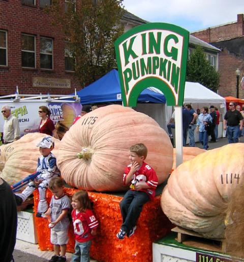 Barnesville Pumpkin Festival1