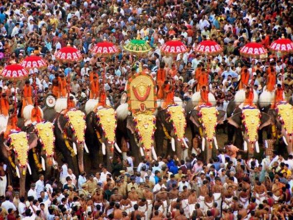 Elephant Festival1