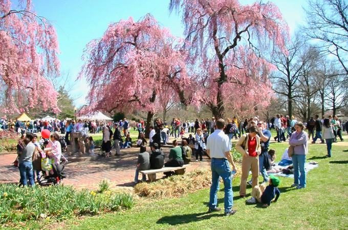 Subaru Cherry Blossom Festival of Greater Philadelphia
