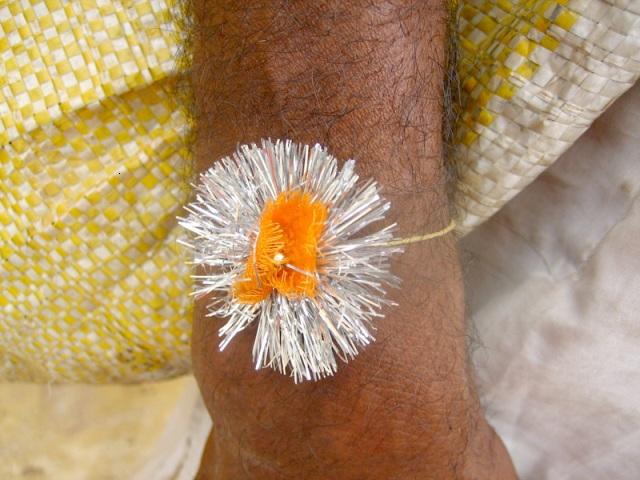 Raksha Bandhan2
